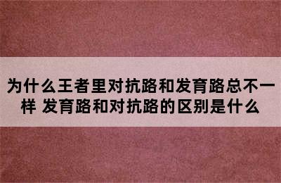 为什么王者里对抗路和发育路总不一样 发育路和对抗路的区别是什么